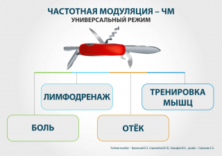 СКЭНАР-1-НТ (исполнение 02.2) Скэнар Оптима в Нижнем Новгороде купить Скэнар официальный сайт - denasvertebra.ru 