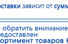 СКЭНАР-1-НТ (исполнение 01)  купить в Нижнем Новгороде, Аппараты Скэнар купить в Нижнем Новгороде, Скэнар официальный сайт - denasvertebra.ru